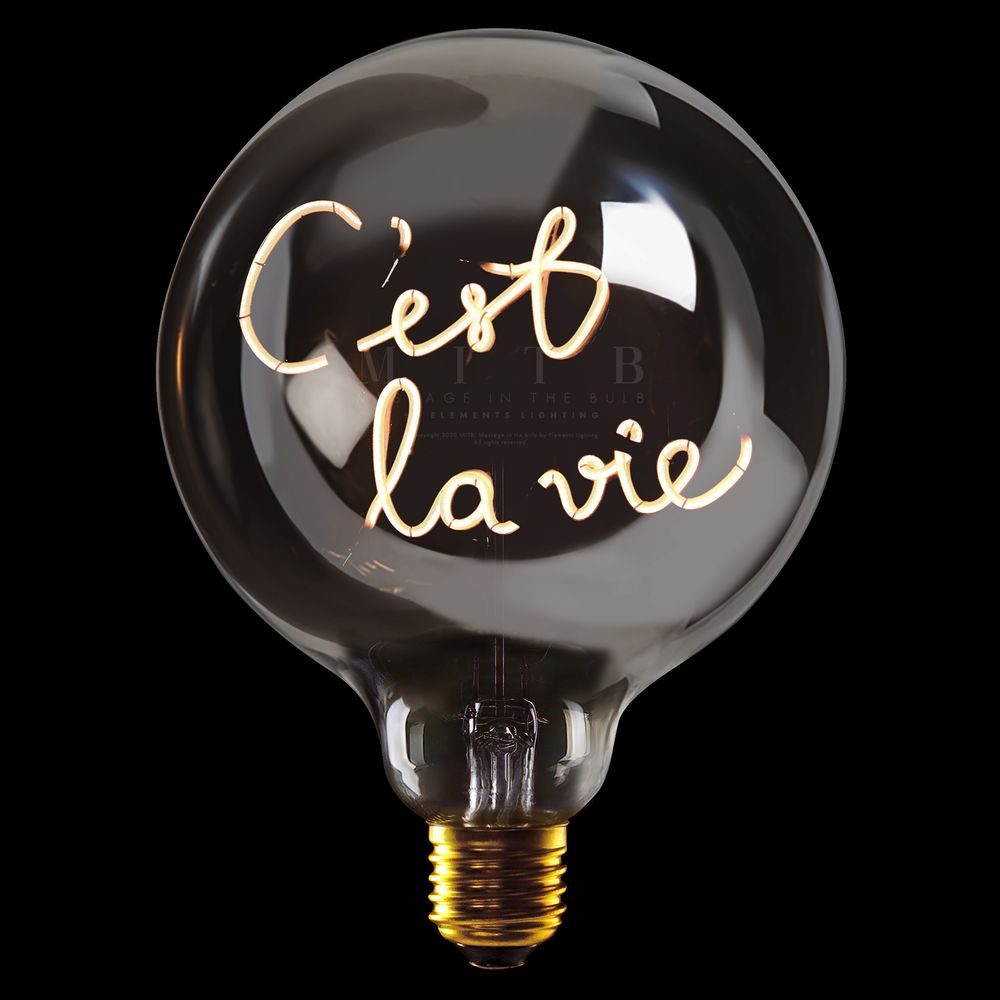 Message in the Bulb 904060FX C'est La Vie LED Light Bulb (6 Volt) - Plated Smoke Glass - 2700K Light