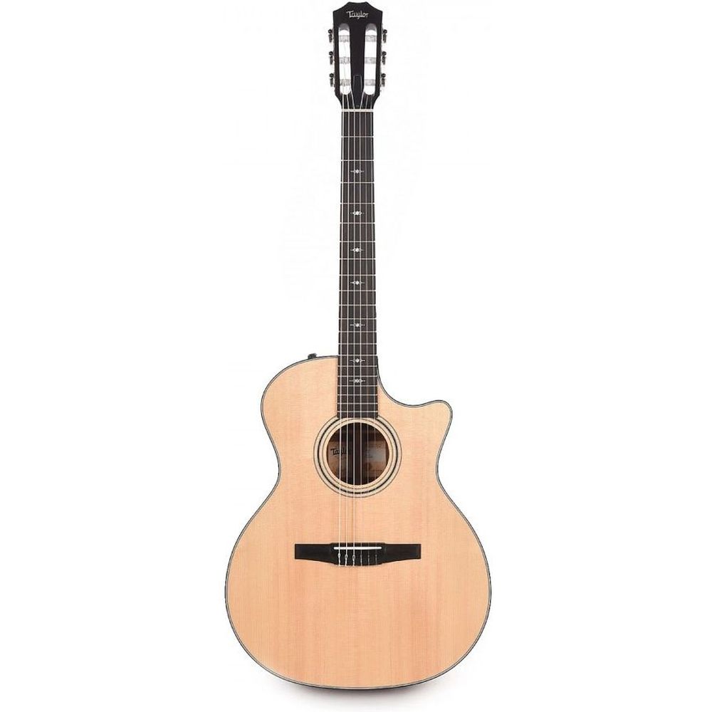 Taylor 314ce-N Nylon Acoustic Electric Guitar - Natural Sitka Spruce