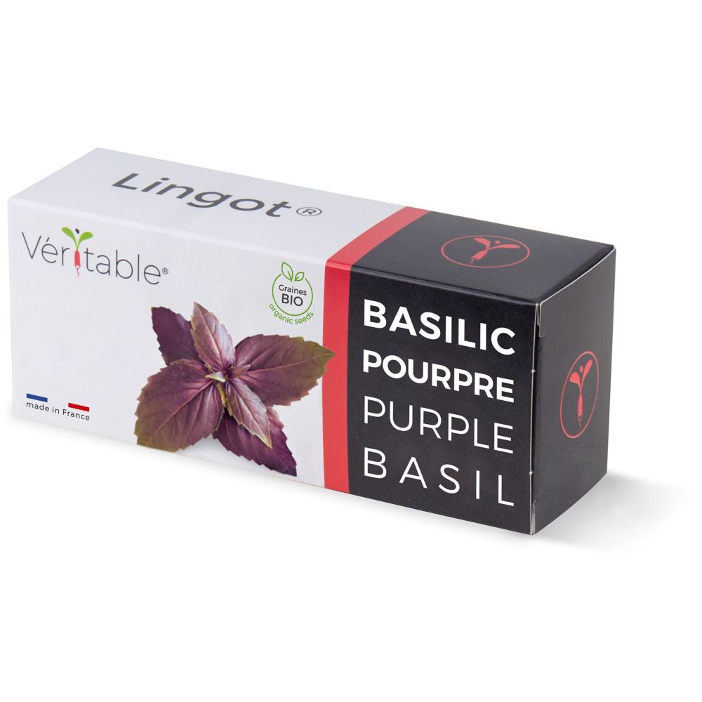 Veritable Lingot® Purple Basil Organic