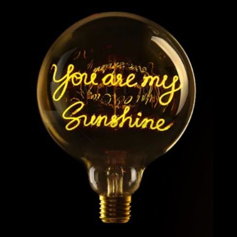 Message in the Bulb - You Are My Sunshine - 2200K LED Light Bulb (6 Volt)