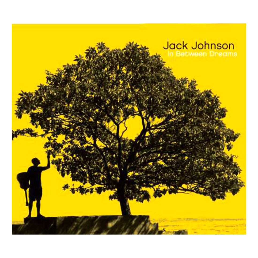 In Between Dreams | Jack Johnson