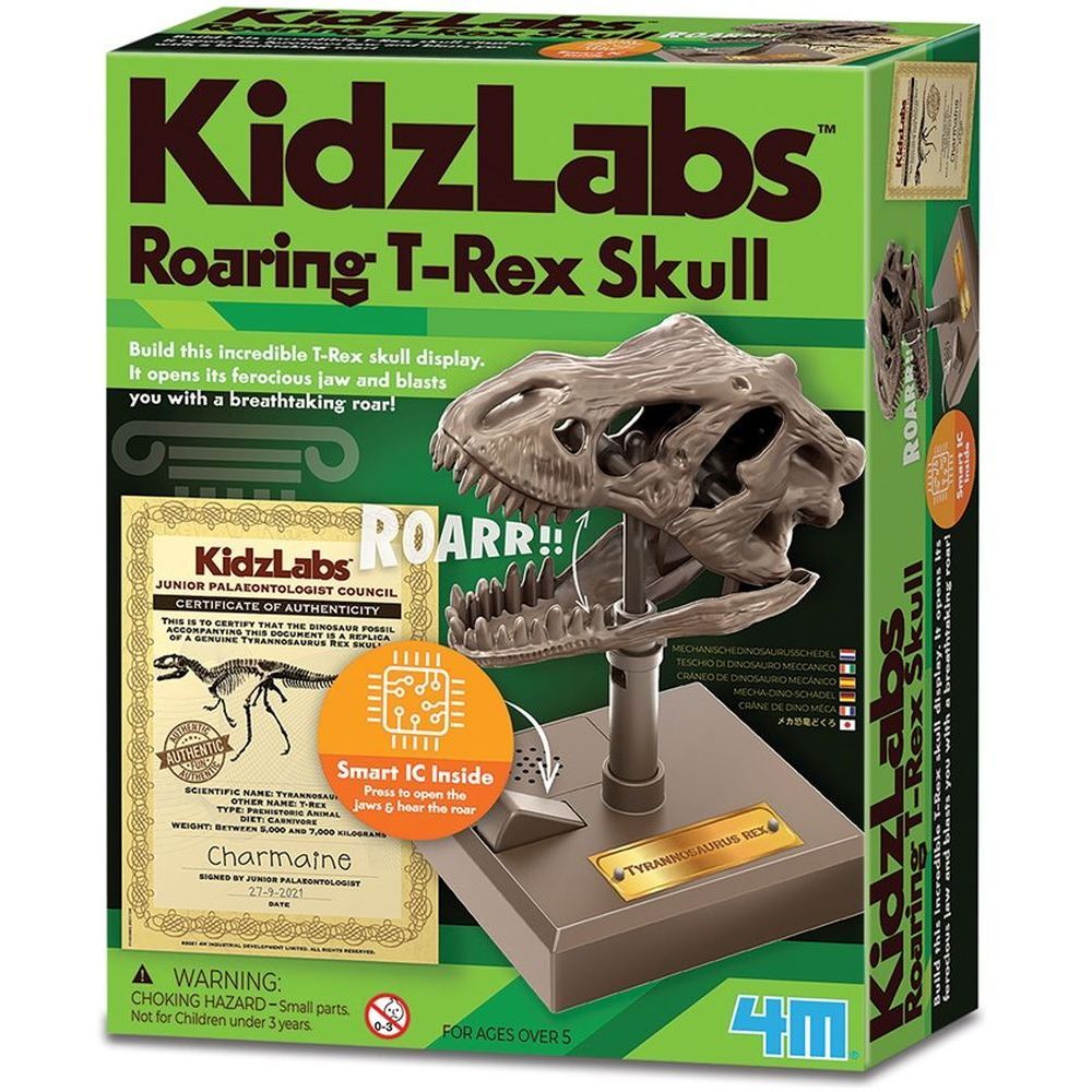 4M Kidz Labs Roaring T Rex Skull Science Kit