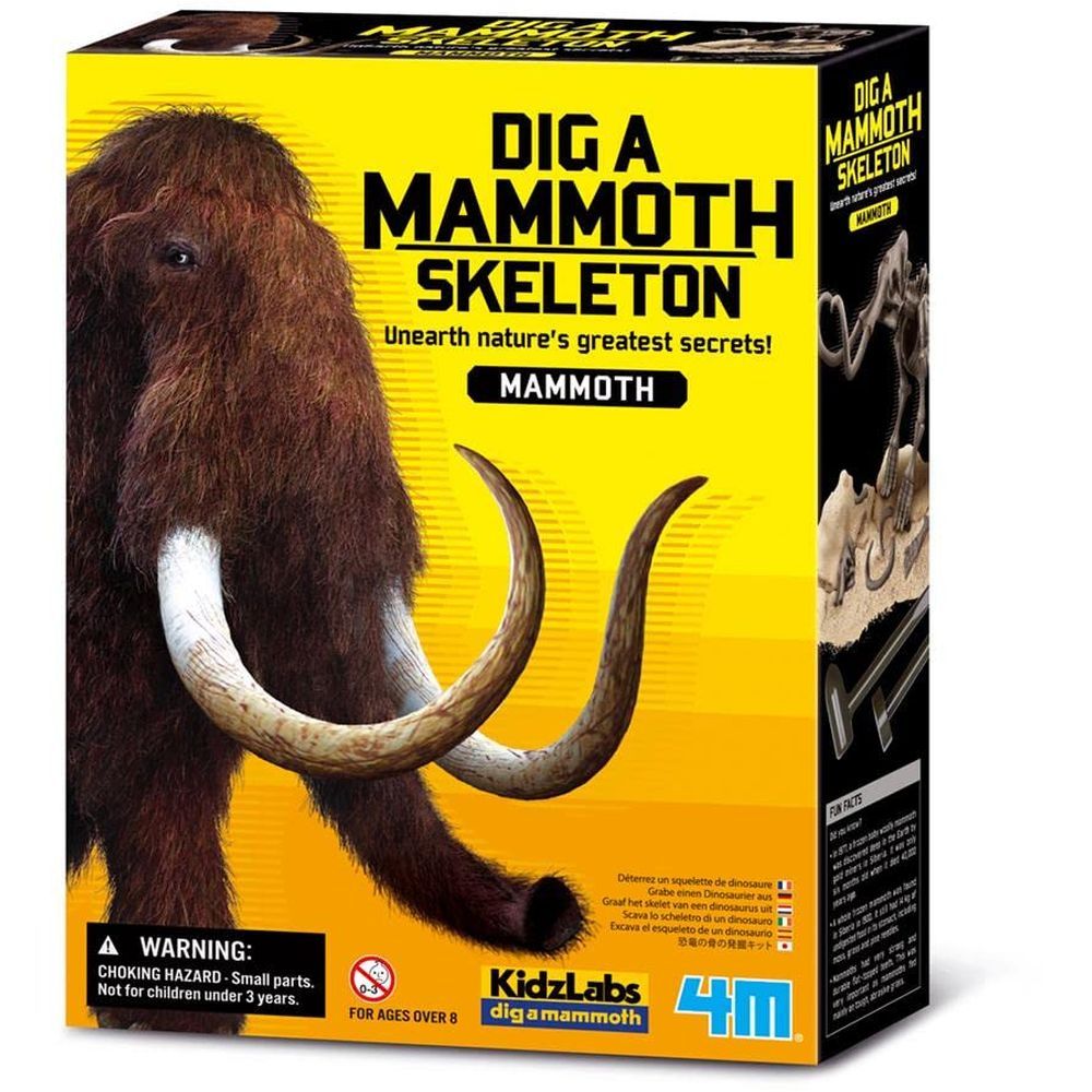 4M Dig A Mammoth Science Kit