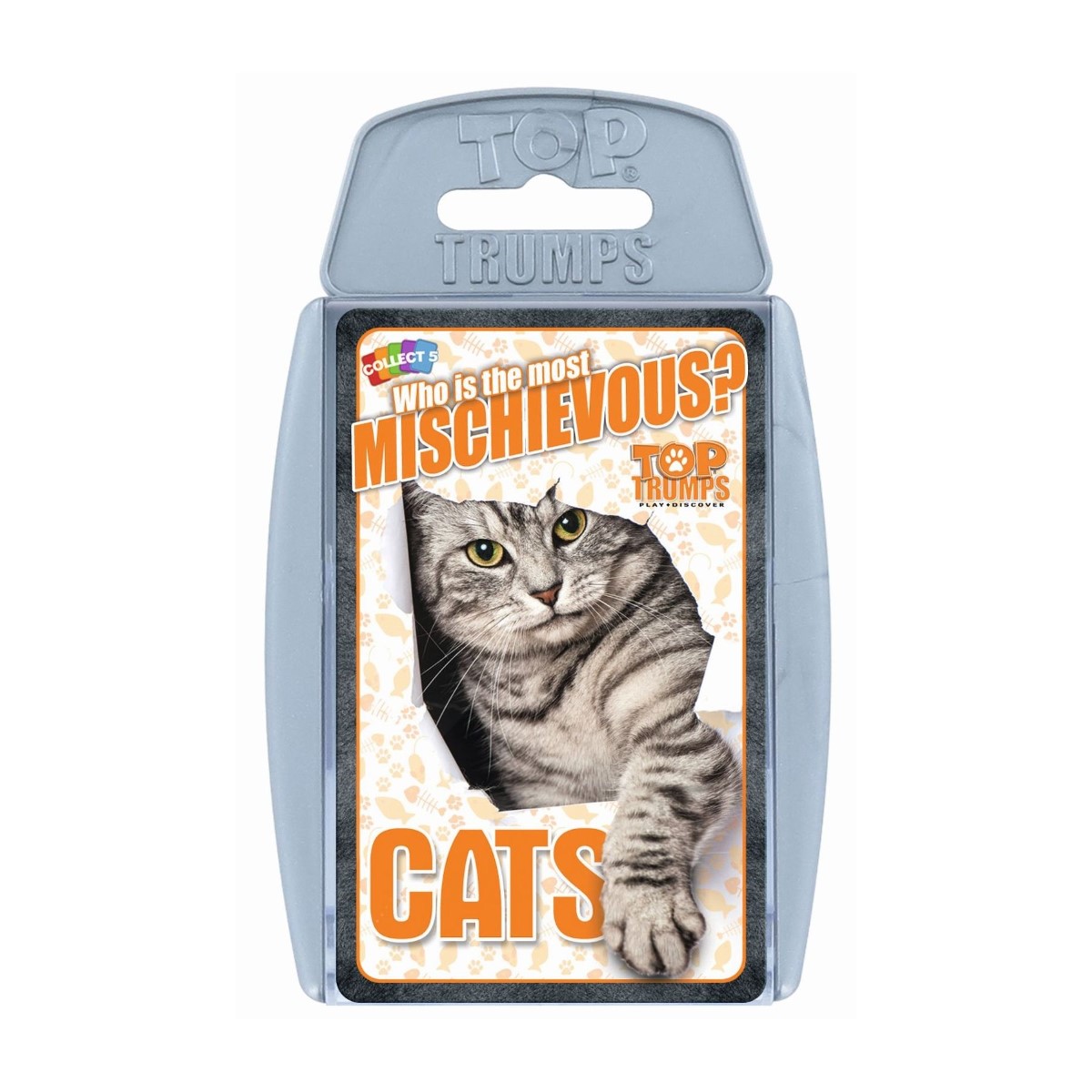 Top Trumps Cats Card Games English & Arabic