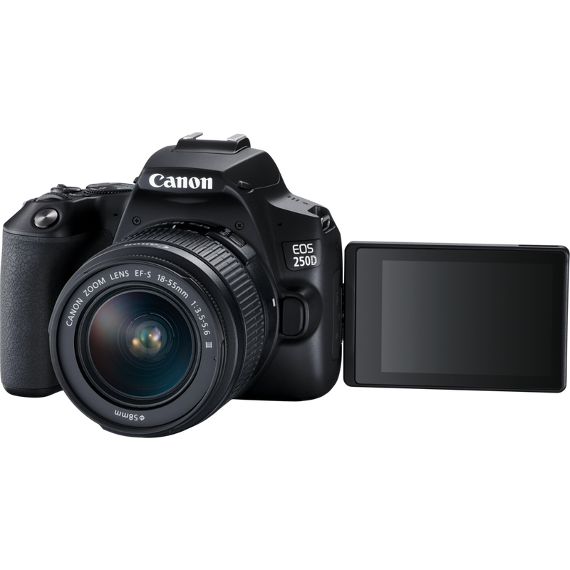 Canon EOS 250D DSLR Camera Black + EF-S 18-55mm F/3.5-5.6 III + EF 75-300mm F/4-5.6 III USM Zoom Lens (Bundle)