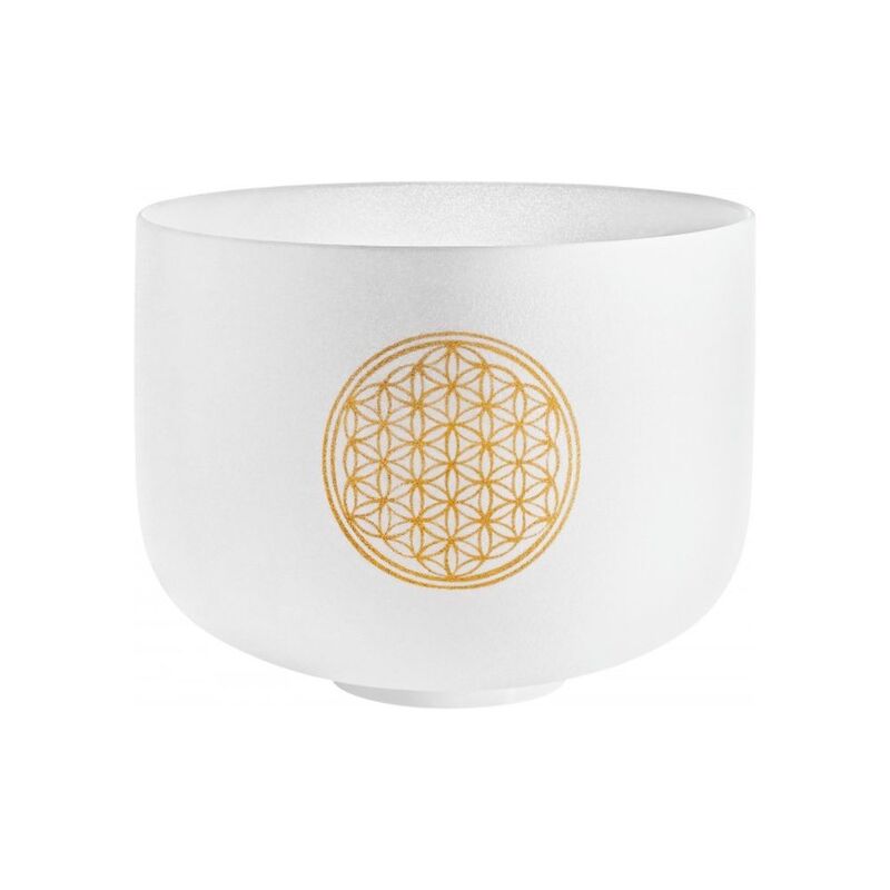 Meinl Sonic Energy Pcsb10Fol Crystal Singing Bowl