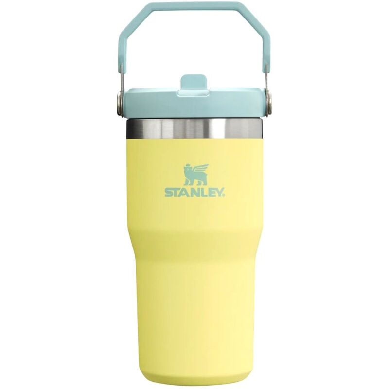 Stanley Ice Flow Go 600ml/20oz Flip Straw Water Bottle - Pomelo