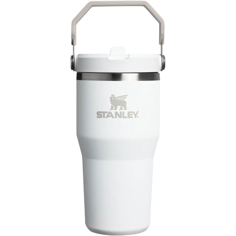 Stanley Ice Flow Go 600ml/20oz Flip Straw Water Bottle - Frost